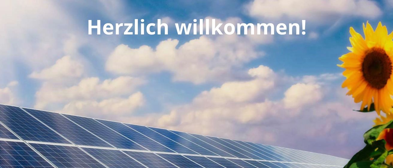 Bild enthält, Electrical Device, Solar Panels, Flower, Plant, Outdoors, Sunflower