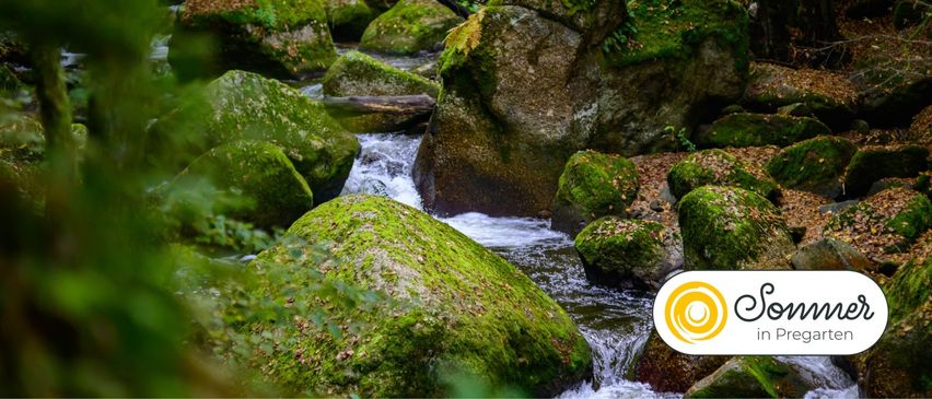 Eine friedliche Szene eines Baches, der durch moosbedeckte Felsen in einem Wald fließt. Die Felsen sind unterschiedlich groß und einige sind teilweise im Wasser eingetaucht.
