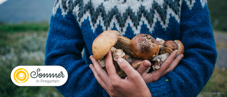A person in a blue sweater holding a handful of mushrooms. The mushrooms are brown and have textured surfaces.