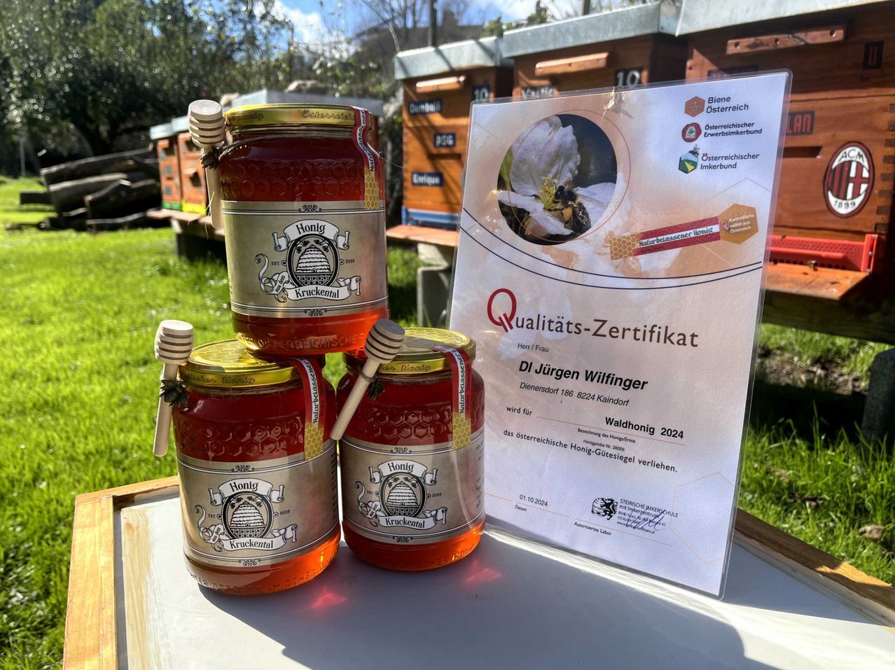 Foto meiner Bienenstöcke mit Zertifikat