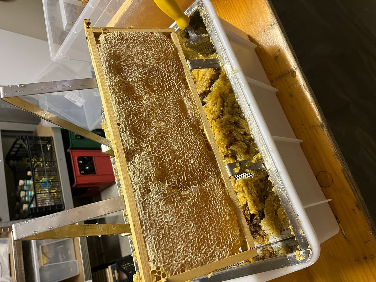 Ein Bienenstockrahmen mit Honigwabe ist geöffnet und zeigt den Inhalt. Er steht auf einer Holzoberfläche mit anderen Werkzeugen und Behältern.