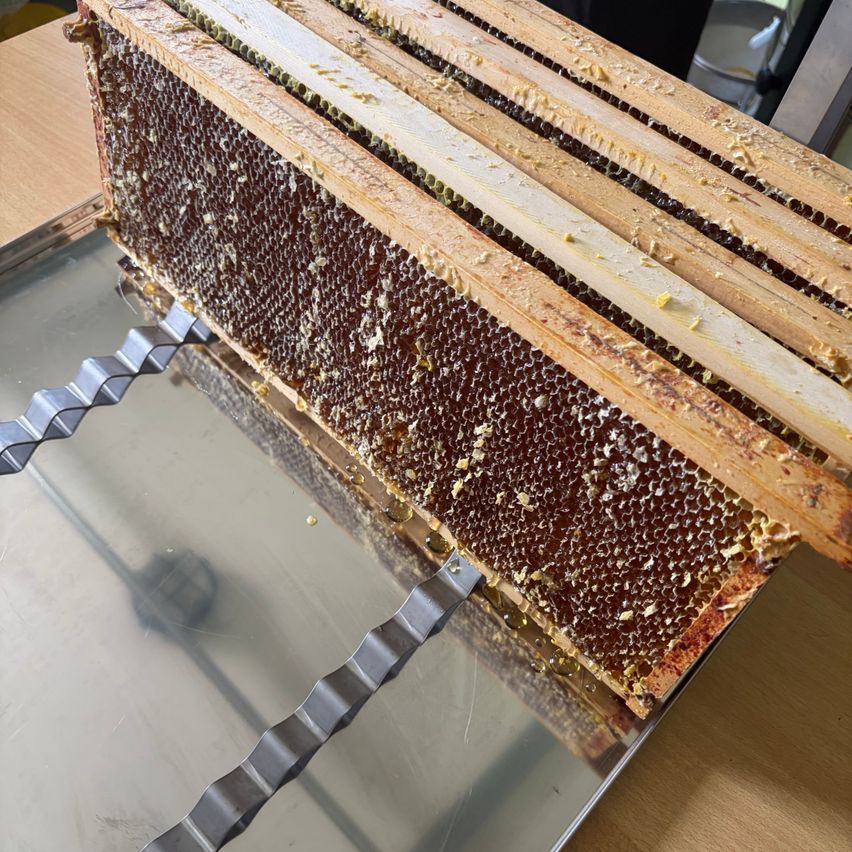 Eine Nahaufnahme eines hölzernen Bienenstocks mit honiggefüllten Waben, auf einer reflektierenden Oberfläche, möglicherweise einem Tisch.