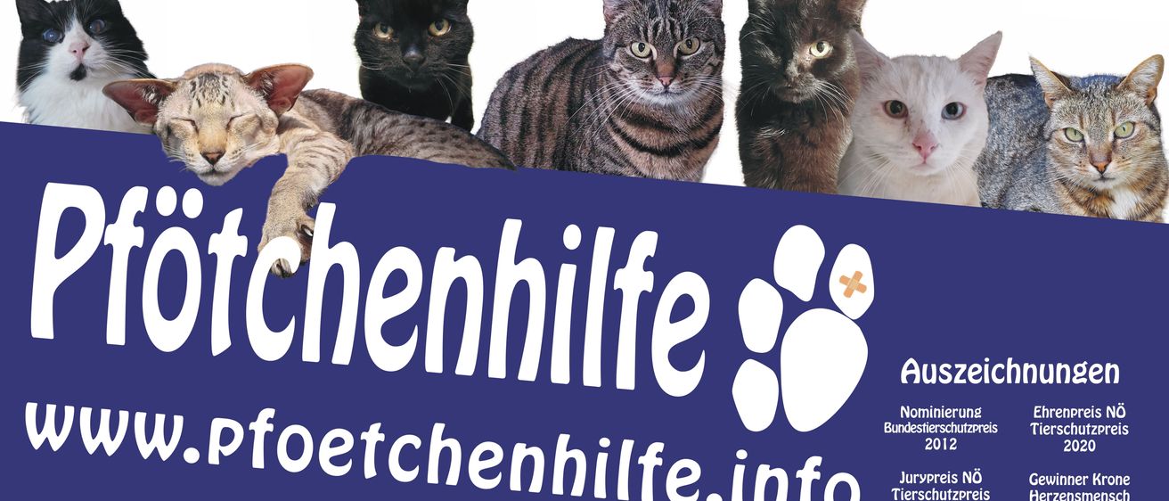 Ein Poster zeigt mehrere Katzen, mit einem Pfotenabdruck-Logo, dem Wort 'chenhilfe' und der Website petchenhilfe.info.