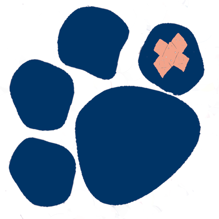 Bild enthält, Person, Pattern