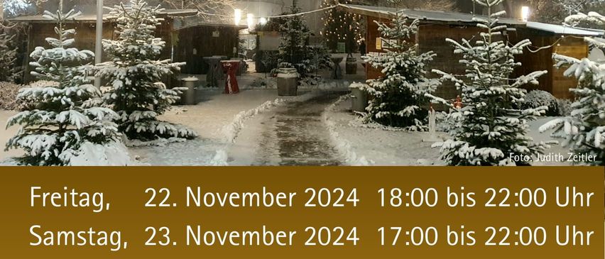 Bild enthält, Tree, Vegetation, Fir, Outdoors, Nature, Advertisement, City, Woodland, Ice, Snow