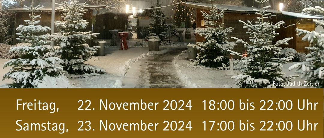 Bild enthält, Tree, Vegetation, Fir, Outdoors, Nature, Advertisement, City, Woodland, Ice, Snow