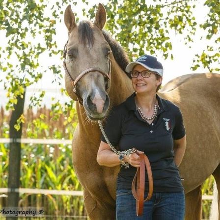 v1_migrated_image_54351088