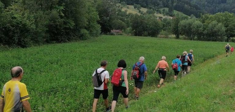 v1_migrated_image_79959914