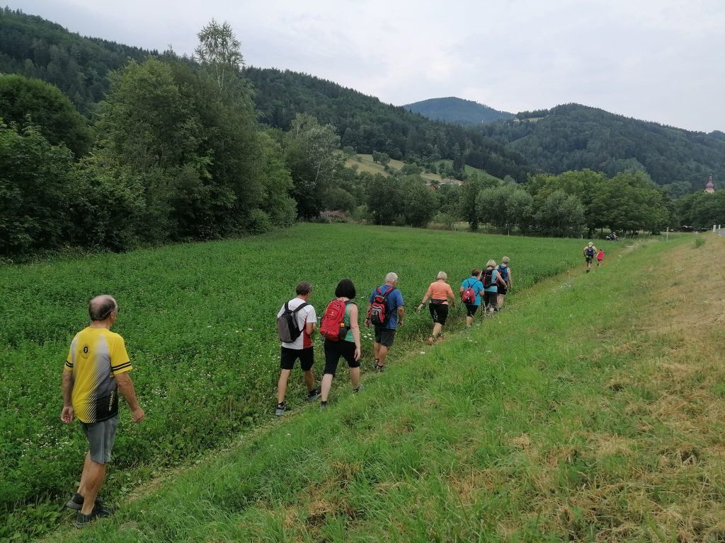 Eine Gruppe von Wanderern, einige mit Rucksäcken, geht auf einem grasigen Pfad, umgeben von Bäumen und Bergen.
