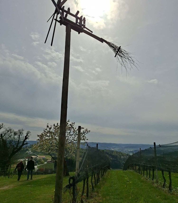 Two people walk along a path in a vineyard. A tall pole with a broom attached is in the foreground. Trees and a distant road are visible.