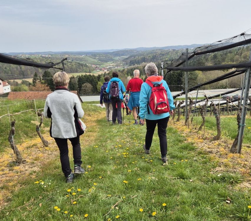 Several people are hiking on a grassy slope. They are wearing backpacks and shoes. They are looking at the valley below with a mountain range in the distance.