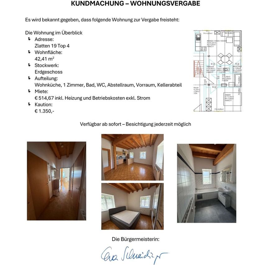 Eine Anzeige für eine Mietwohnung mit Details wie Adresse, Wohnfläche und Preis. Es enthält einen Grundriss und Bilder des Innenraums.