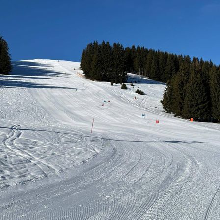 Eine Skipiste mit klarem blauem Himmel, umgeben von Kiefern und markiert mit roten und blauen Flaggen.