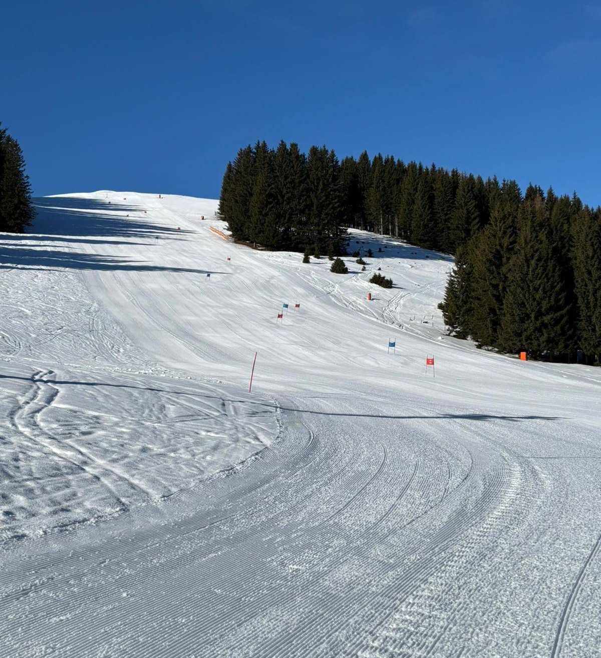 Eine Skipiste mit klarem blauem Himmel, umgeben von Kiefern und markiert mit roten und blauen Flaggen.