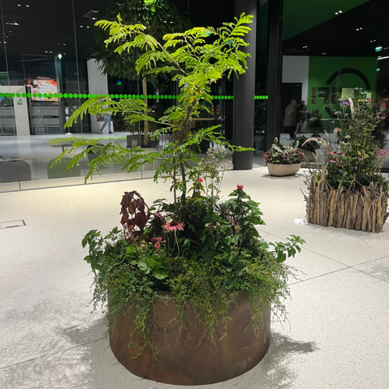 Ein großer dekorativer Pflanzkübel mit einem hohen Baum und blühenden Pflanzen steht in einer modernen Gebäudelobby. Im Hintergrund spiegelt eine Glaswand eine weitere Pflanze und Menschen wider.