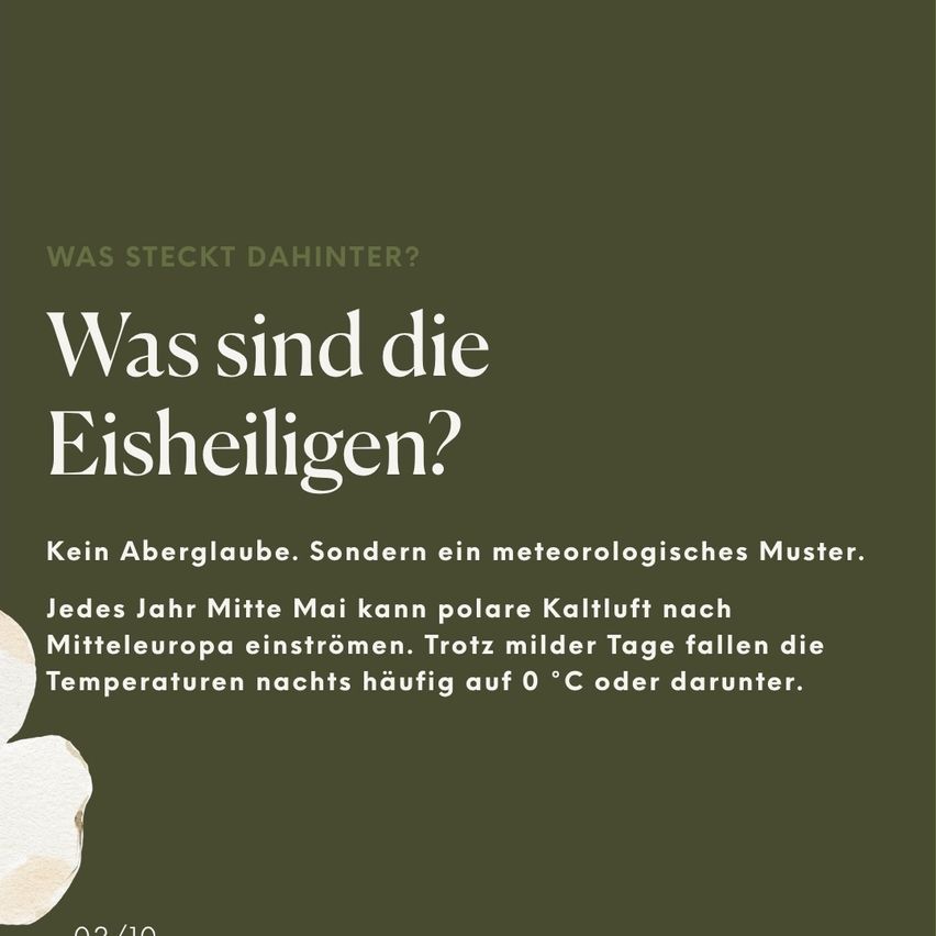 Green poster with white text. Title: Was steckt dahinter? Untertitel: Was sind die Eisheiligen? Text: No superstition. Rather a meteorological pattern. Each year in mid-May, polar cold air can rush into Central Europe. Despite milder days, temperatures often drop to 0°C or below at night. Date: 03/10.