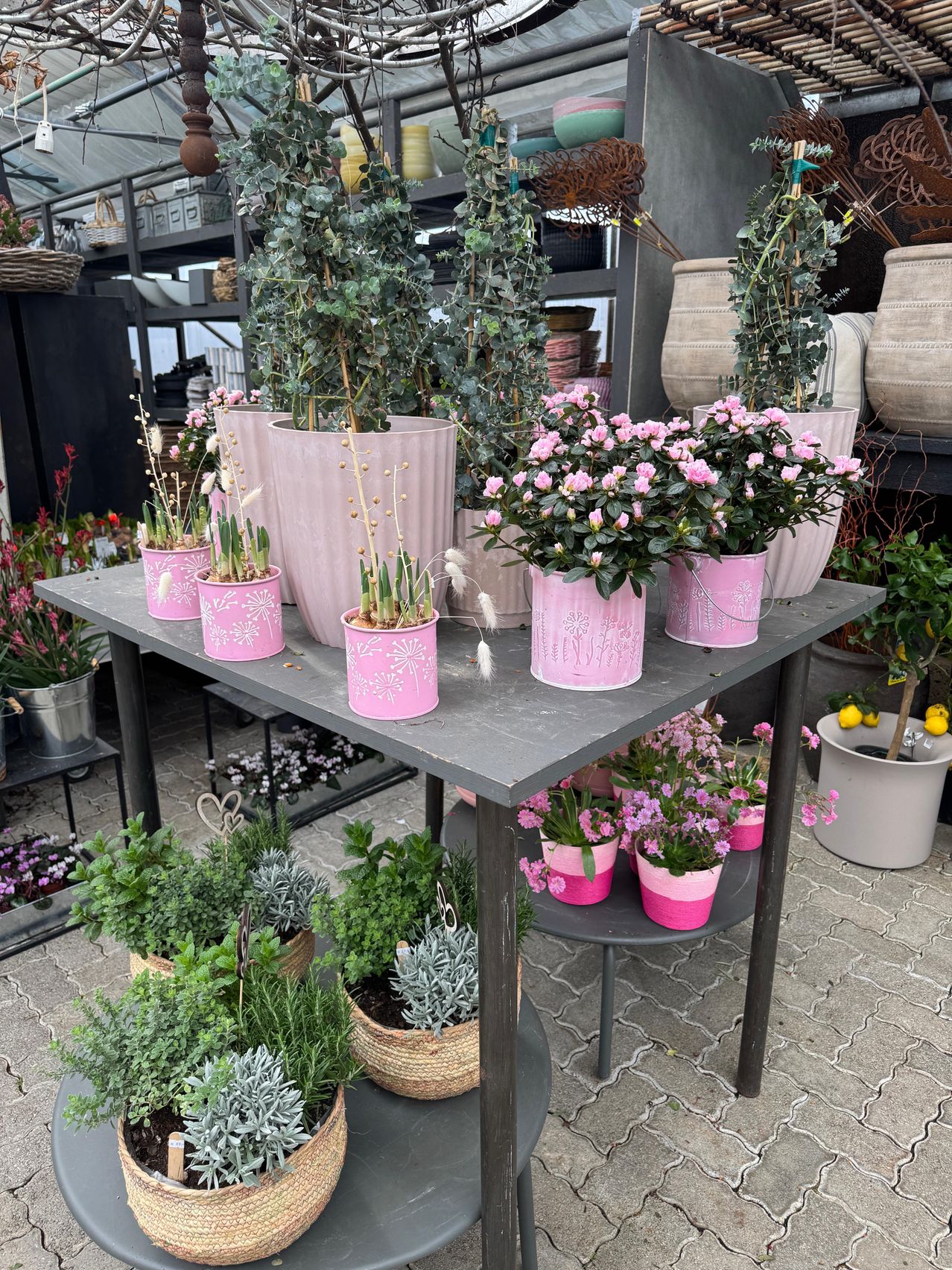 Ein grauer Tisch mit verschiedenen Topfpflanzen darauf. Die Pflanzen sind in rosa Töpfen und haben verschiedene Designs. Der Hintergrund zeigt einen Raum mit Regalen und weiteren Pflanzen.