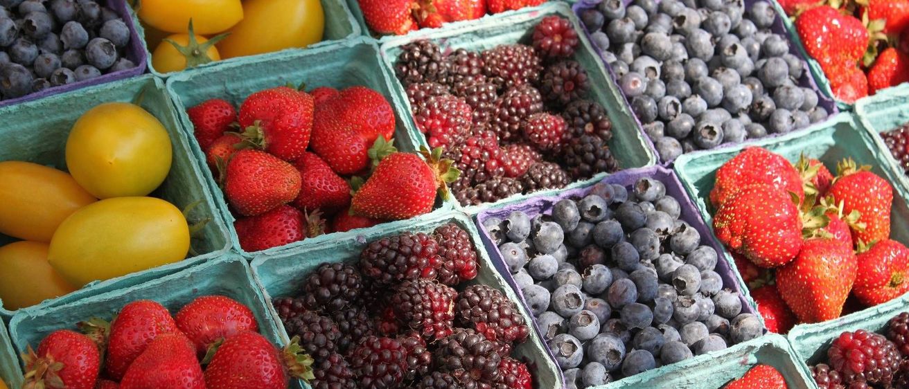 v1_migrated_image_77486905