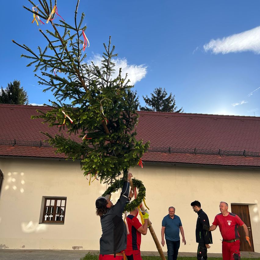 A group of people are decorating a Christmas tree outside a building with a red roof and windows. One person is holding a wreath.