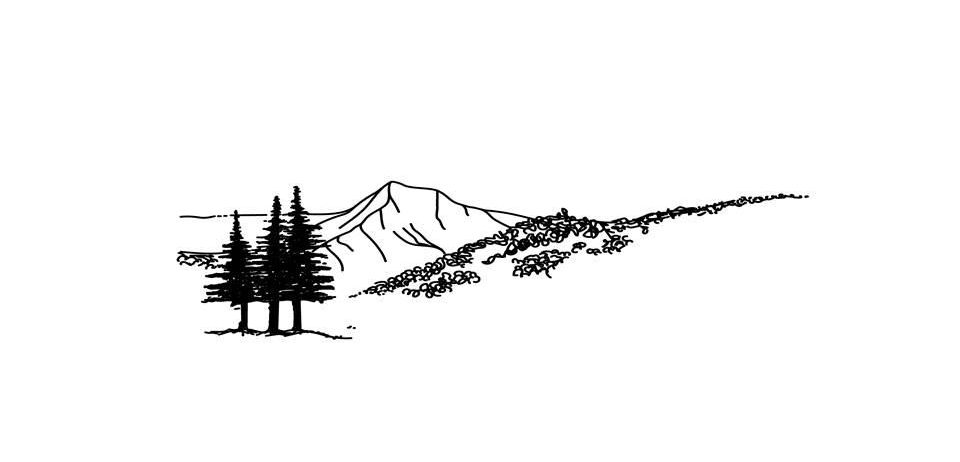 Silhouette, Plant, Tree, Art, Drawing, Fir, Pine, Conifer