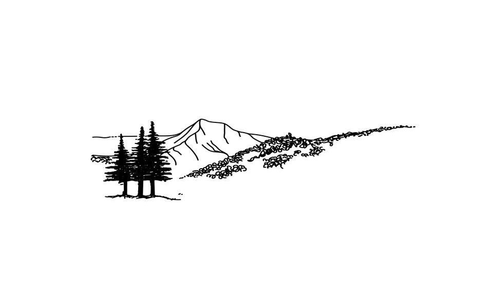 Bild enthält, Silhouette, Plant, Tree, Art, Drawing, Fir, Pine, Conifer