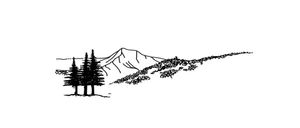 Bild enthält, Silhouette, Plant, Tree, Art, Drawing, Fir, Pine, Conifer