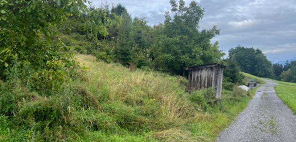 Ein Kiesweg verläuft neben einem grasbewachsenen Hügel. Ein kleiner, verwitterter Holzschuppen steht am Rande des Hügels, umgeben von dichtem Laub. Im Hintergrund sind Bäume und Sträucher zu sehen.