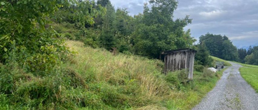 Ein Kiesweg verläuft neben einem grasbewachsenen Hügel. Ein kleiner, verwitterter Holzschuppen steht am Rande des Hügels, umgeben von dichtem Laub. Im Hintergrund sind Bäume und Sträucher zu sehen.