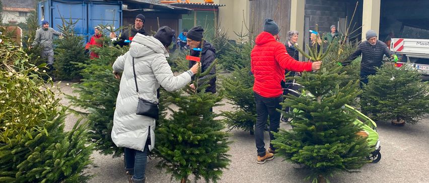 Mehrere Personen wählen Weihnachtsbäume in einem Baumbestand aus. Ein Mann in einem roten Mantel hält einen Baum. Eine andere Person in einer grauen Jacke untersucht Bäume. Andere Menschen und Gebäude sind im Hintergrund.
