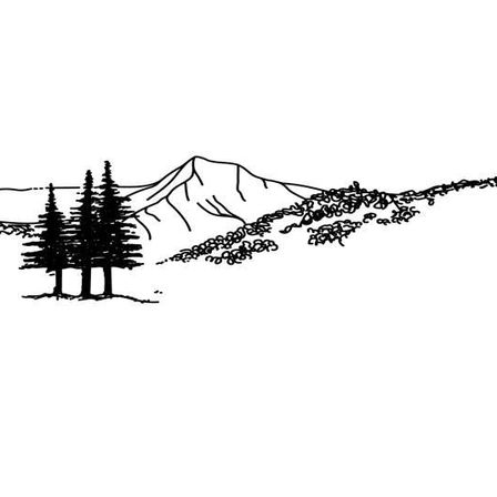 Bild enthält, Silhouette, Plant, Tree, Art, Drawing, Fir, Pine, Conifer