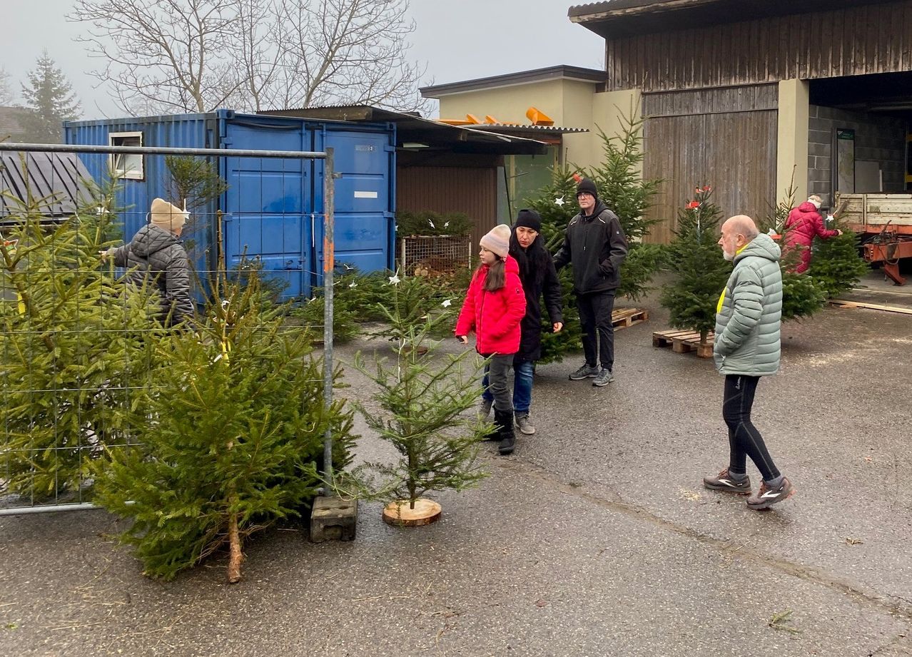 Eine Gruppe von Menschen steht in einem Weihnachtsbaumverkaufsstand. Ein Mädchen in einer roten Jacke zeigt auf einen Baum. Ein Mann steht in der Nähe eines blauen Containers. Eine Frau steht neben einem Kind.