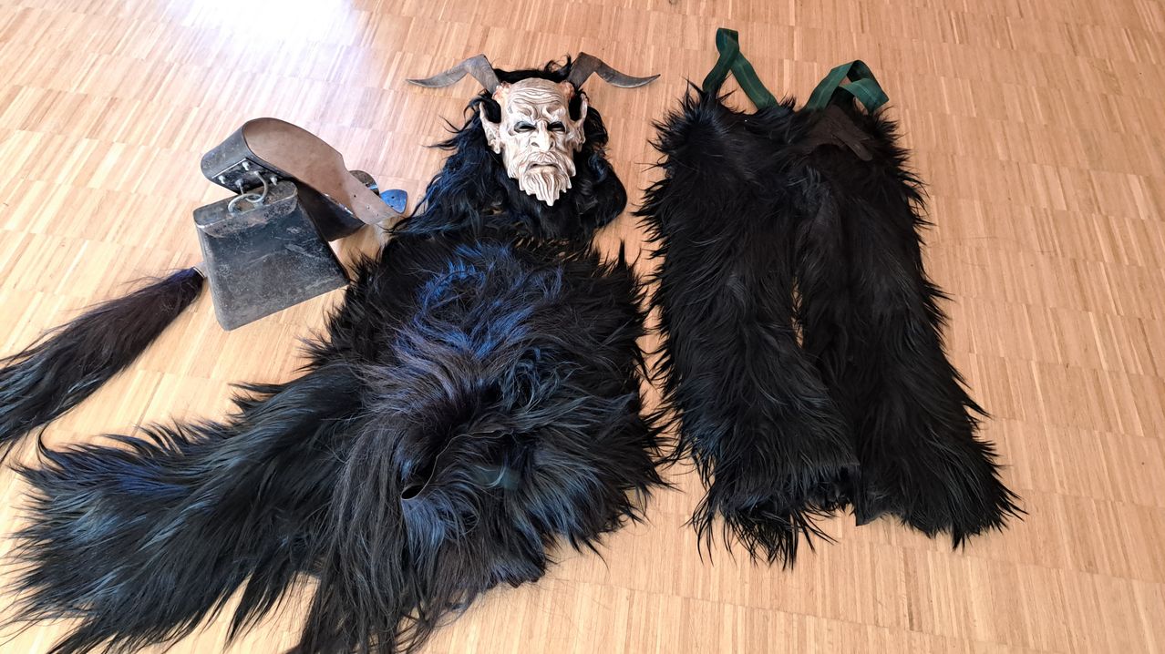 Bild enthält, Floor, Flooring, Hardwood, Wood, Accessories, Canine, Dog, Mammal, Pet, Feather Boa