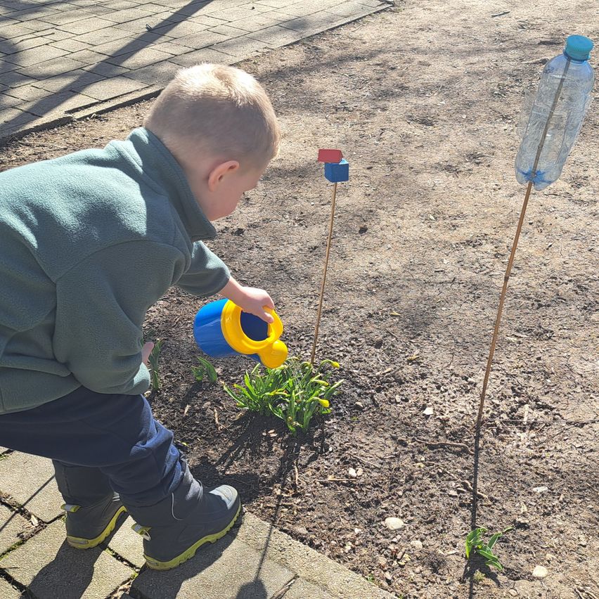 Bild enthält, Soil, Garden, Outdoors, Potted Plant, Gardening, Boy, Child, Male, Person, Planter