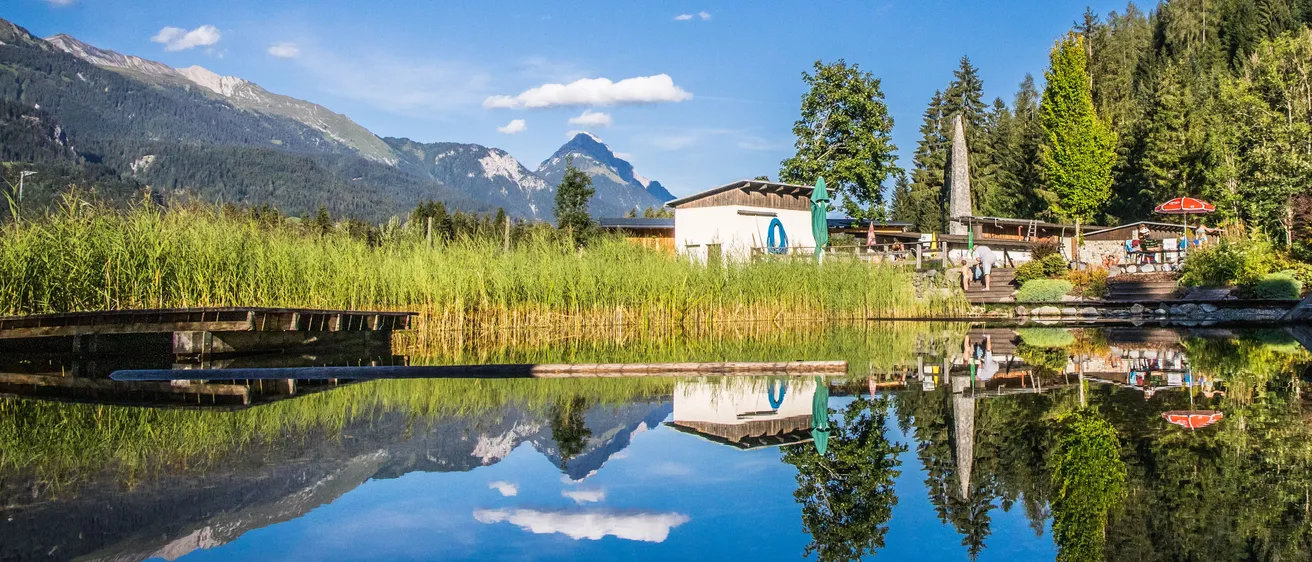 Nature, Outdoors, Scenery, Lake, Water, Fir, Tree, Landscape, Pond, Lakefront