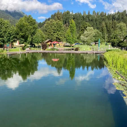 Nature, Outdoors, Scenery, Pond, Water, Fir, Tree, Lake, Lakefront, Person
