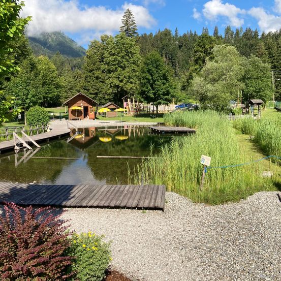 Bild enthält, Nature, Outdoors, Scenery, Pond, Park, Lakefront, Tree, Waterfront, Vegetation, Shelter