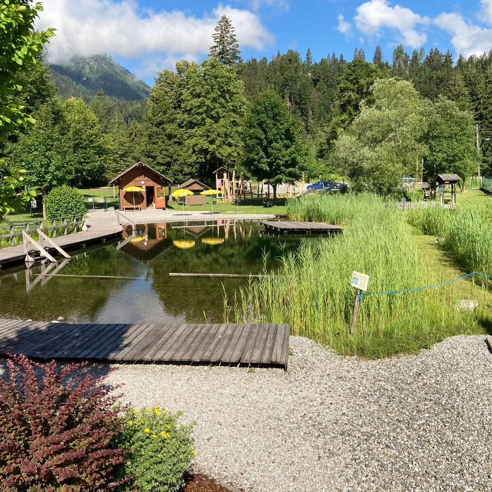 Nature, Outdoors, Scenery, Pond, Park, Lakefront, Tree, Waterfront, Vegetation, Shelter