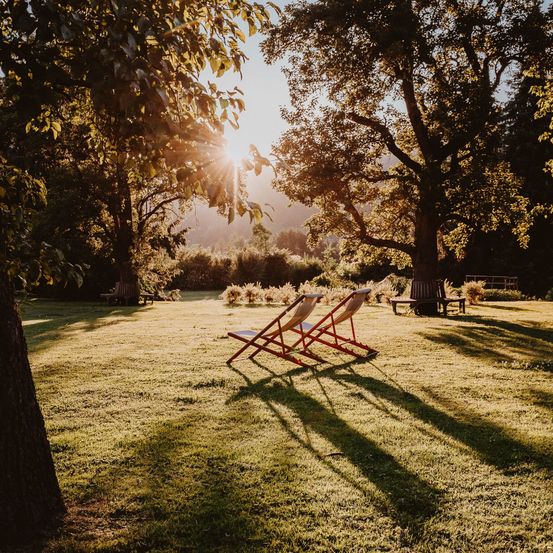 Zwei rote Klappstühle stehen in einem sonnendurchfluteten Park mit saftigem grünem Gras und Bäumen, die Schatten auf den Boden werfen.