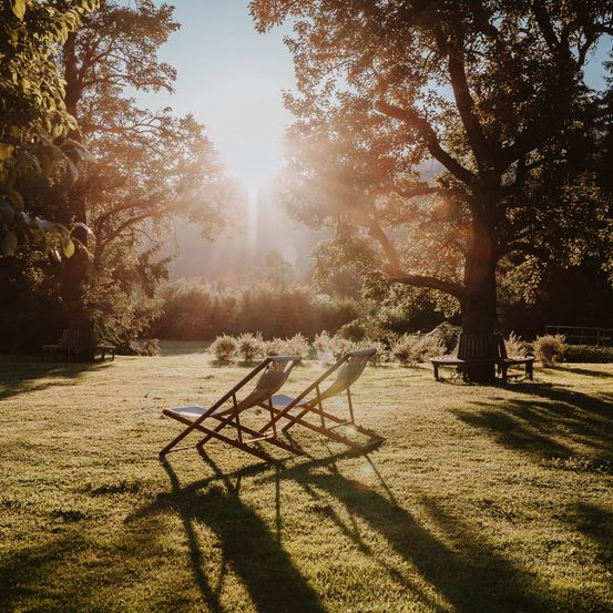 Zwei hölzerne Liegestühle stehen auf einem grünen Rasen, von oben beschienen. Bäume und Pflanzen umgeben das Gebiet.