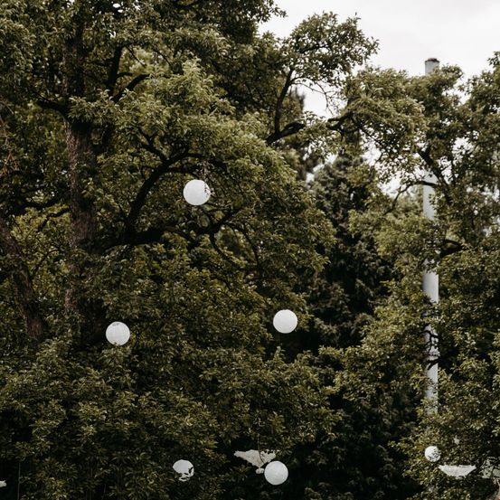 Eine Szene mit mehreren weißen Ballons, die inmitten eines üppigen, grünen Blätterdachs schweben. Die Ballons scheinen in einer leichten Brise sanft zu schwanken.