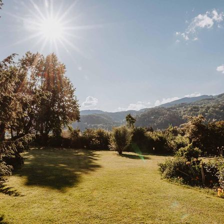 Ein sonniger Tag mit klarem blauem Himmel, einem großen Grasfeld umgeben von Bäumen und Büschen und in der Ferne Berge unter leichter Wolkendecke.