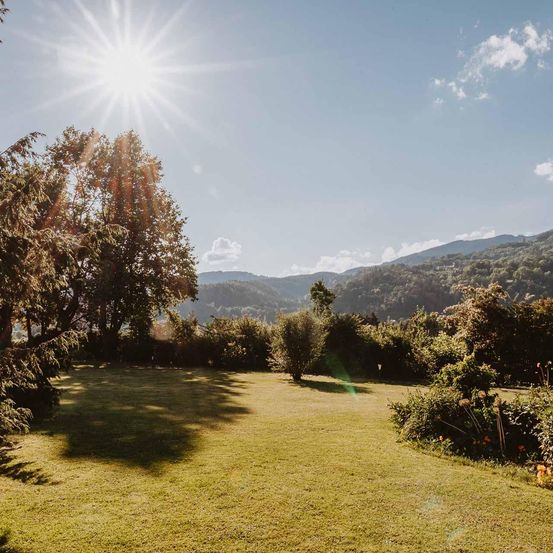 Ein sonniger Tag mit klarem blauem Himmel, einem großen Grasfeld umgeben von Bäumen und Büschen und in der Ferne Berge unter leichter Wolkendecke.