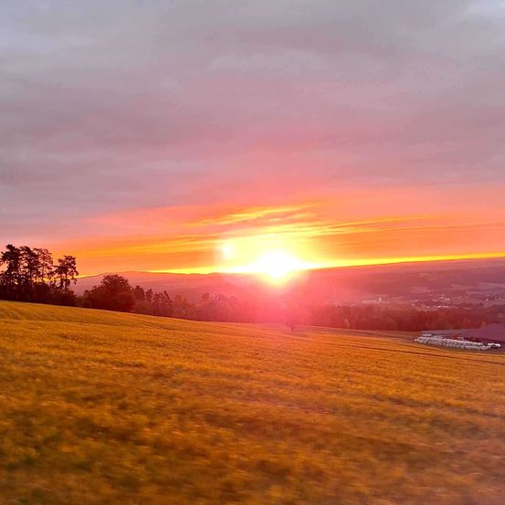 Ein Sonnenuntergang aus einem Autofenster, mit einem weiten Grasfeld, gesilberteten Bäumen und in der Ferne liegenden Bergen, die eine lebhafte Himmelsfarbe aufweisen.