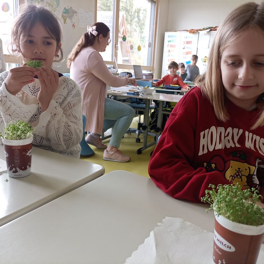 Zwei junge Mädchen in einem Klassenzimmer, eine isst Sprossen. Die Lehrerin sitzt an einem Tisch mit anderen Kindern. Heller Sonnenschein fällt durch das Fenster.