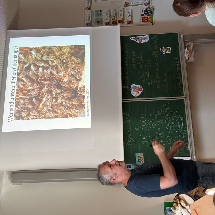 Ein älterer Mann steht vor einer Projektionsleinwand, die ein Makrobild von Bienen zeigt. Er gestikuliert, während ein Tafel hinter ihm Matheaufgaben anzeigt.