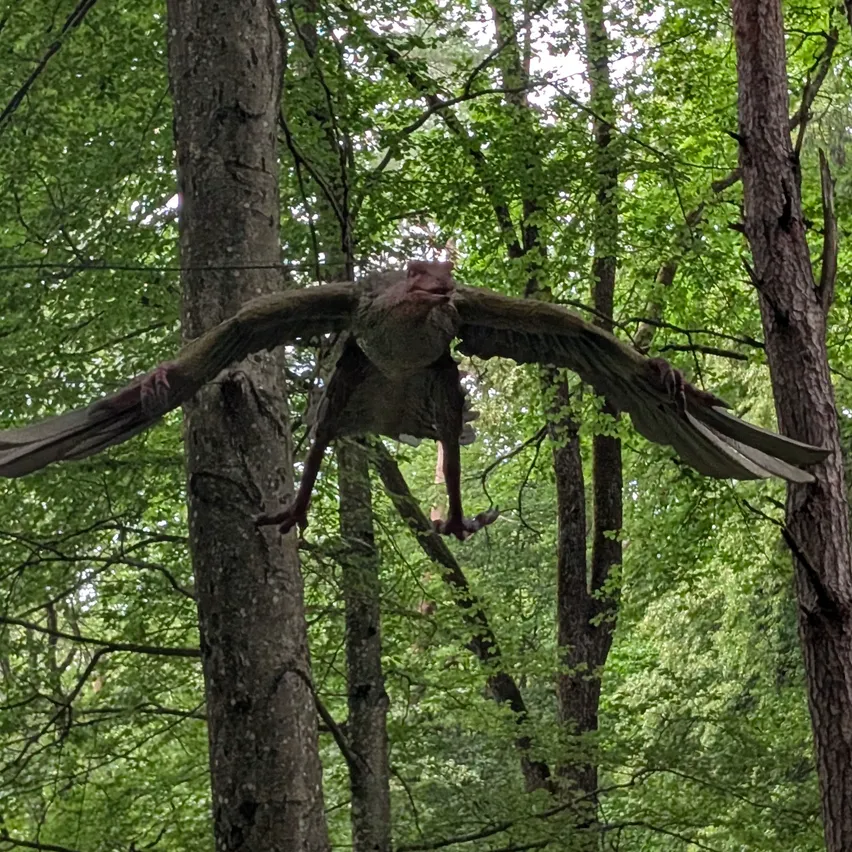 Ein Vogel mit großen Flügeln fliegt über einem dichten Wald, seine Krallen greifen einen Ast. Das Sonnenlicht filtert durch die Blätter und wirft Schatten auf den Boden.