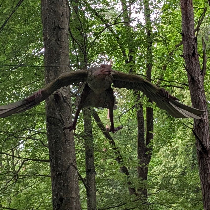 Ein Vogel mit großen Flügeln fliegt über einem dichten Wald, seine Krallen greifen einen Ast. Das Sonnenlicht filtert durch die Blätter und wirft Schatten auf den Boden.