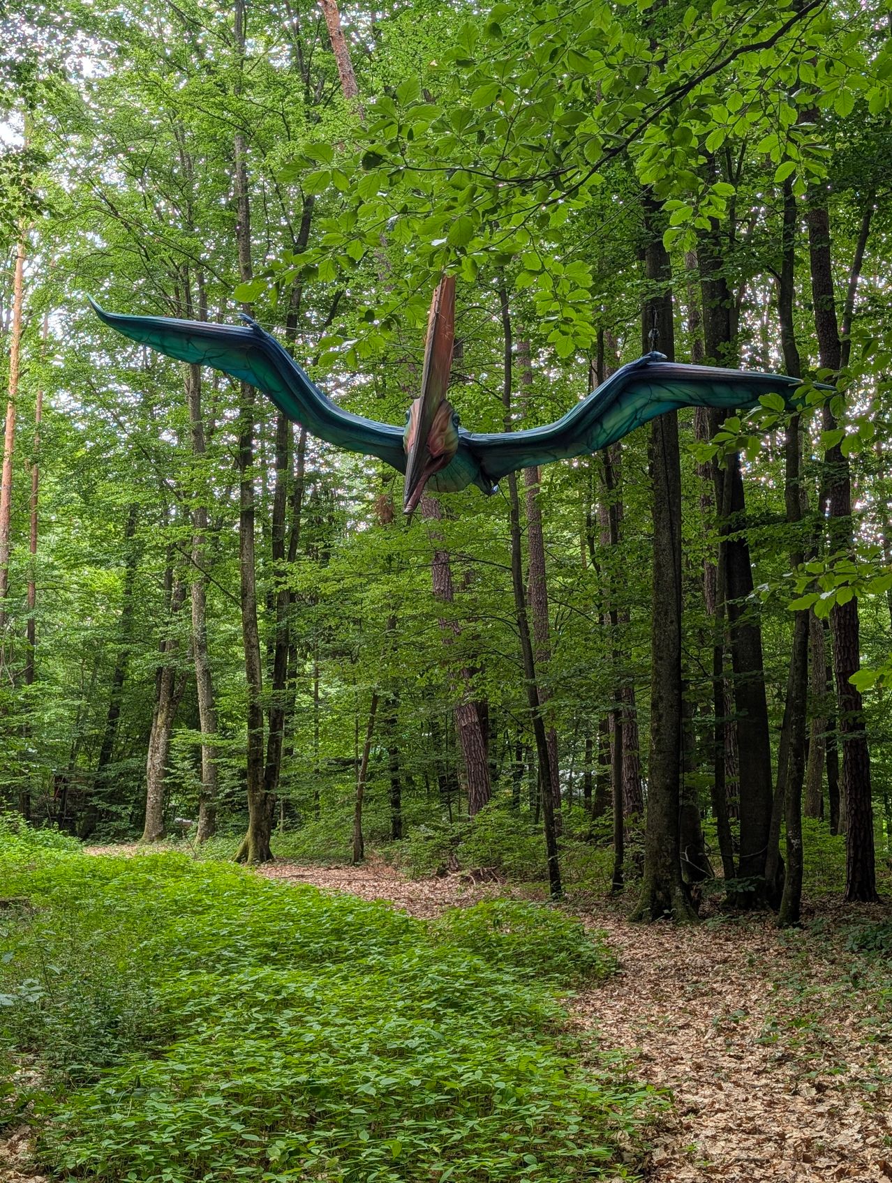 A life-sized pterosaur model flies above a dense forest, its wings spread wide. The forest floor is lush with greenery, and sunlight filters through the canopy.