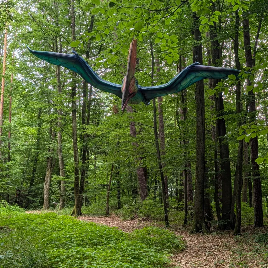 Ein lebensgroßes Flugsaurier-Modell fliegt über einem dichten Wald, die Flügel weit ausgebreitet. Der Waldboden ist üppig mit Grün, und Sonnenlicht filtert durch die Baumkronen.