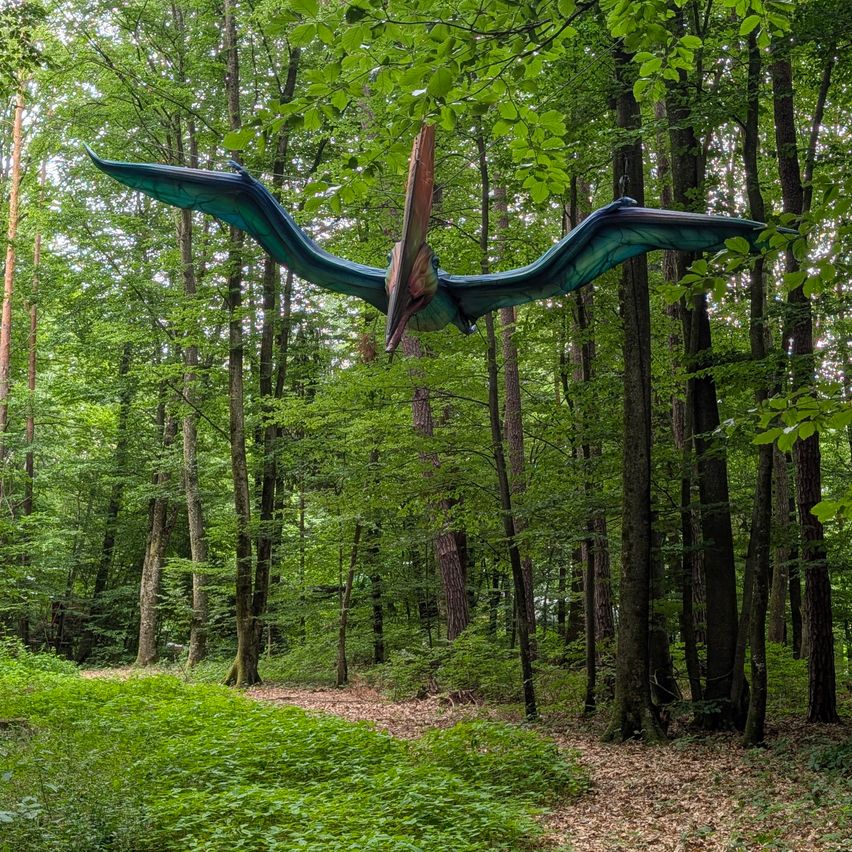 Ein lebensgroßes Flugsaurier-Modell fliegt über einem dichten Wald, die Flügel weit ausgebreitet. Der Waldboden ist üppig mit Grün, und Sonnenlicht filtert durch die Baumkronen.